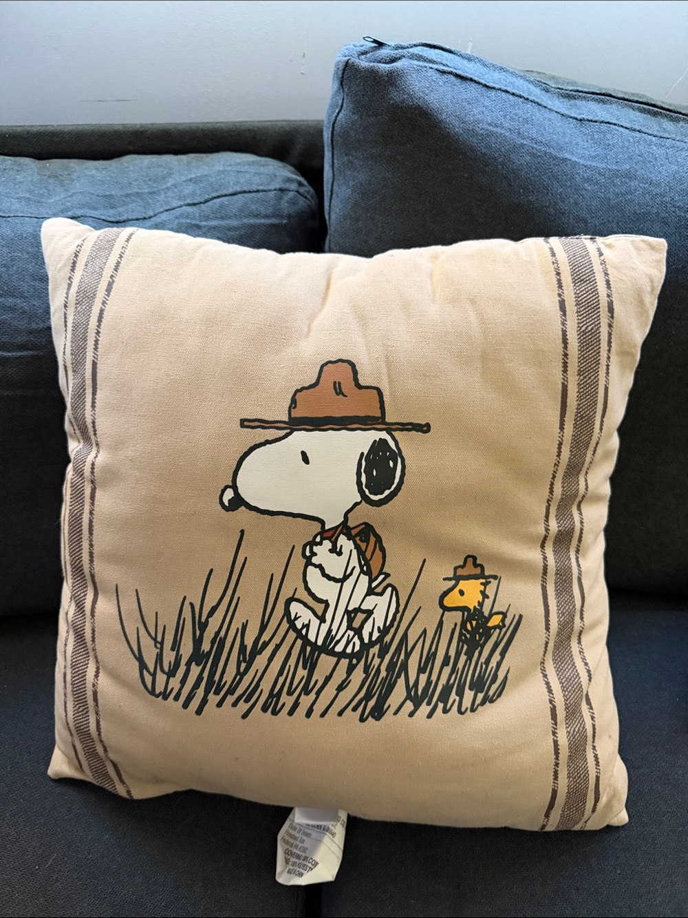 Peanuts Beige Snoopy & Woodstock Decorative Pillow